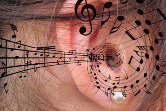 Oído absoluto. Qué es y cómo desarrollar el oído absoluto